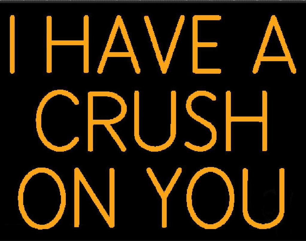 Custom I Have A Crush On You Neon Sign Real Neon Light