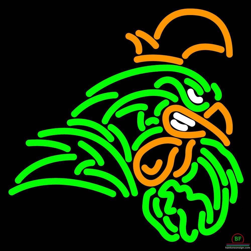 Custom Cleveland State Vikings Neon Sign NCAA Teams Neon Light