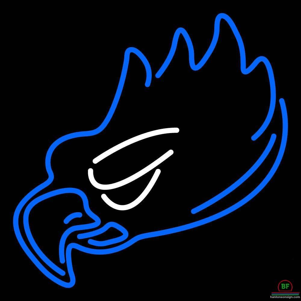 Custom Florida Gulf Coast Eagles Neon Sign NCAA Teams Neon Light