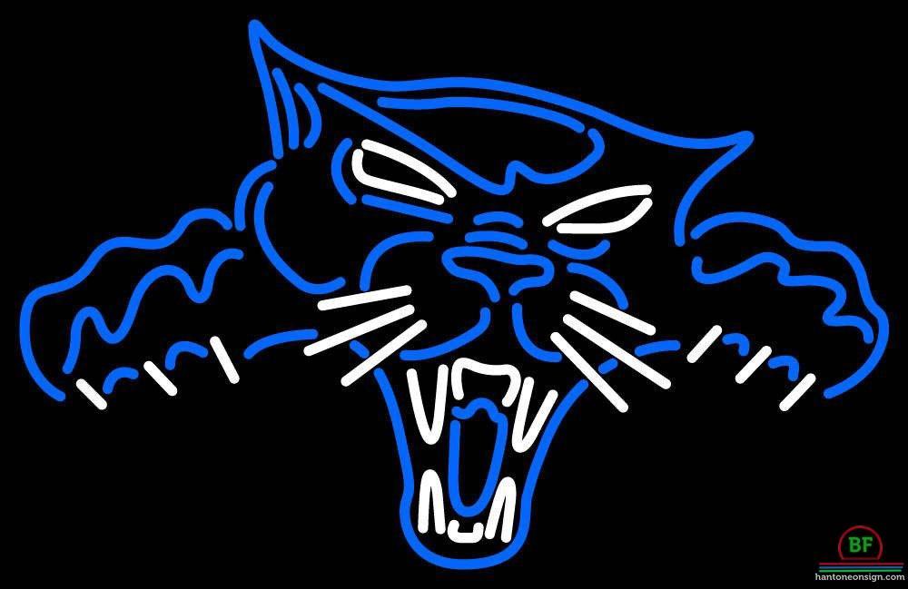 Custom High Point Panthers Neon Sign NCAA Teams Neon Light