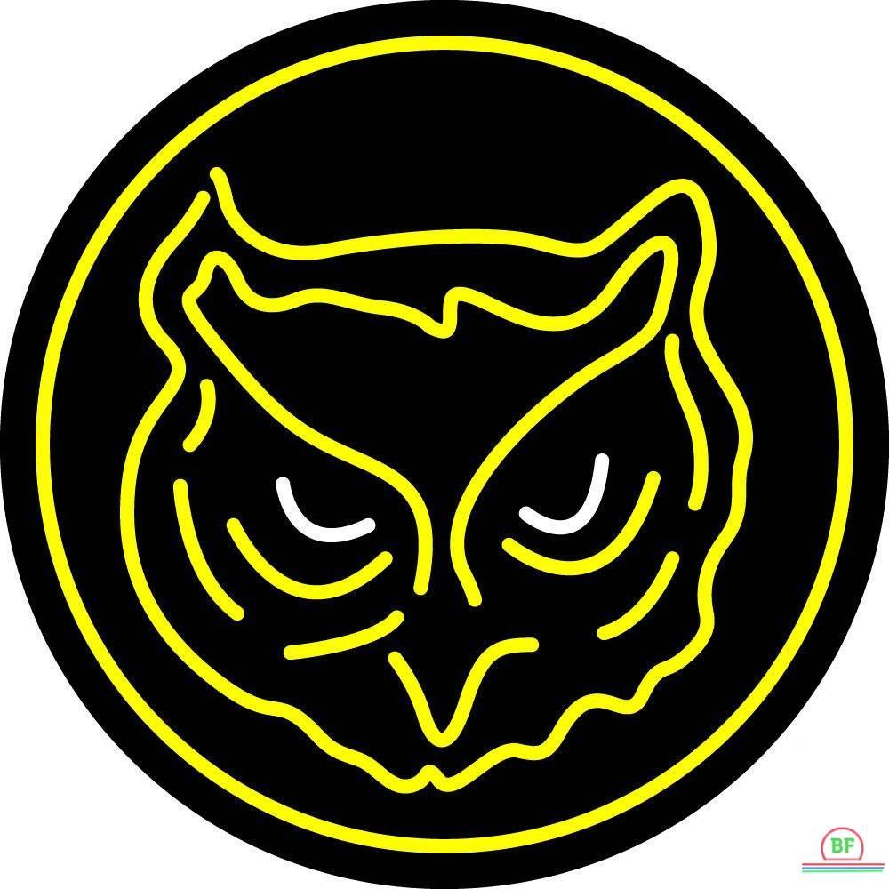 Custom Kennesaw State Owls Neon Sign NCAA Teams Neon Light