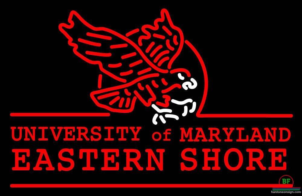 Custom Maryland Eastern Shore-hawks Neon Sign NCAA Teams Neon Light