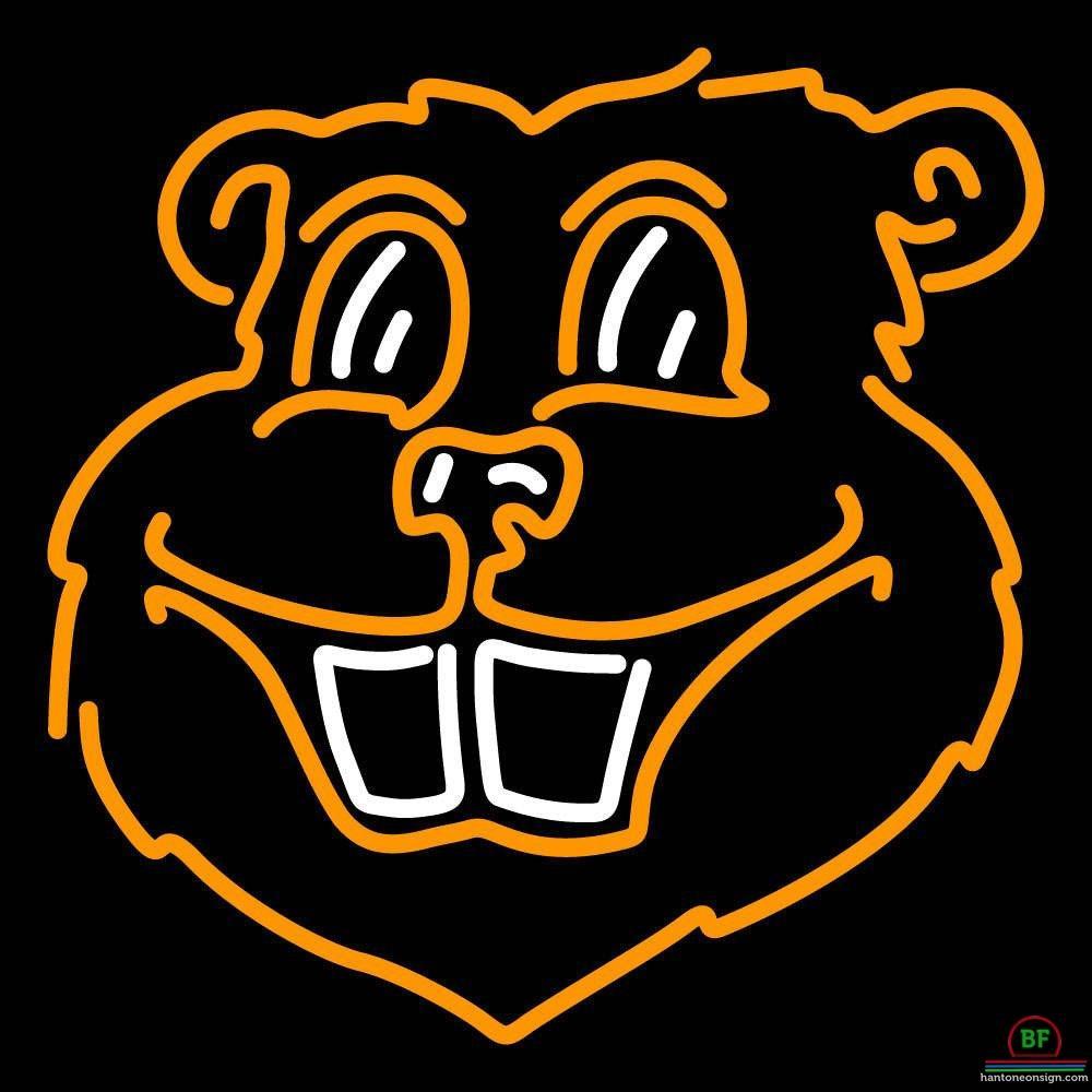 Custom Minnesota Golden Gophers Neon Sign NCAA Teams Neon Light