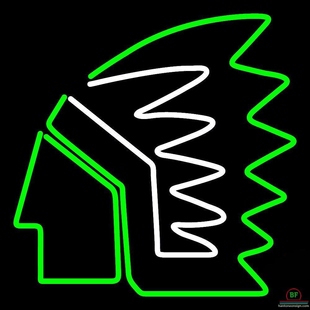 Custom North Dakota State Fighting Sioux Neon Sign NCAA Teams Neon Light