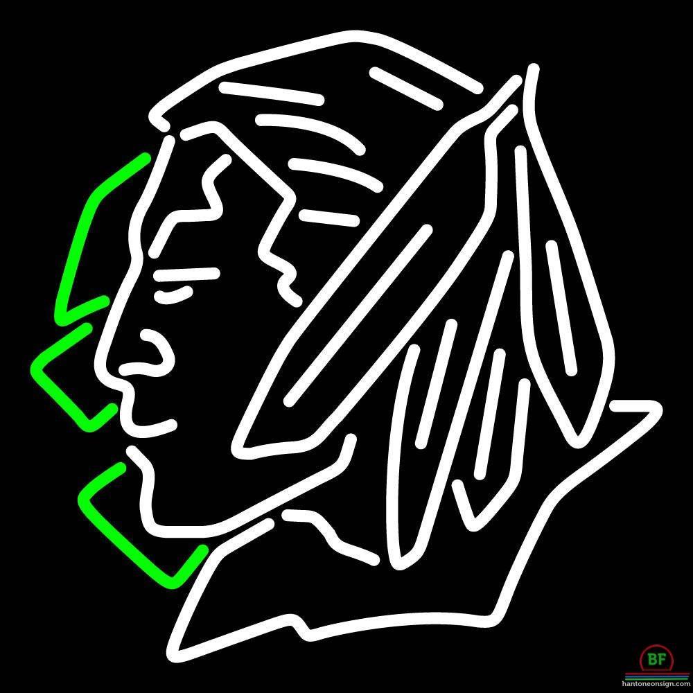 Custom North Dakota State Fighting Sioux Neon Sign NCAA Teams Neon Light