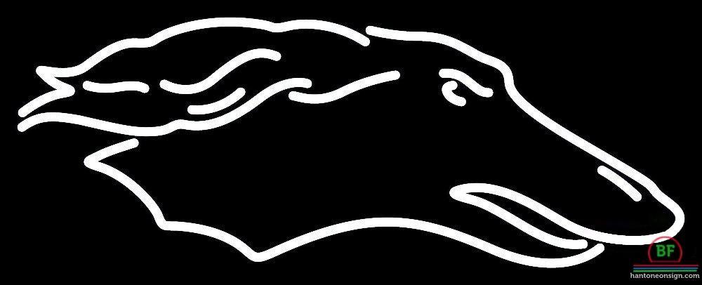 Custom Southern Illinois Salukis Neon Sign NCAA Teams Neon Light