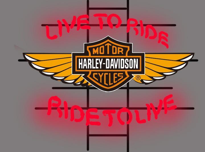 Custom Harley Davidson Neon Sign Real Neon Light