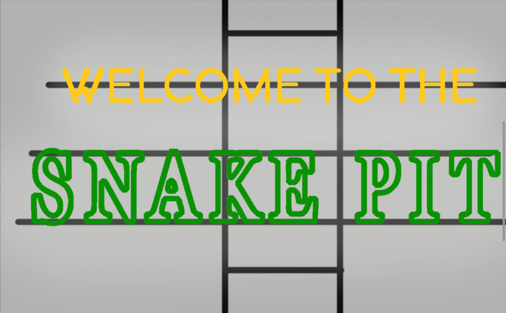 Custom Welcome To The Snake Pit Neon Sign Real Neon Light